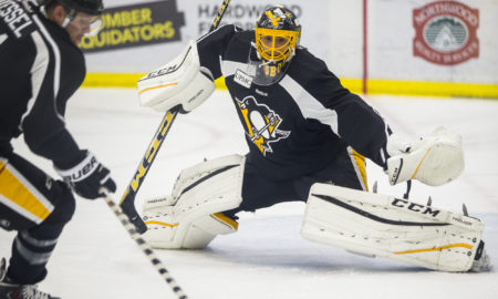 Pittsburgh Penguins goalie Fleury, Marc-Andre (29)