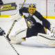 Pittsburgh Penguins goalie Fleury, Marc-Andre (29)